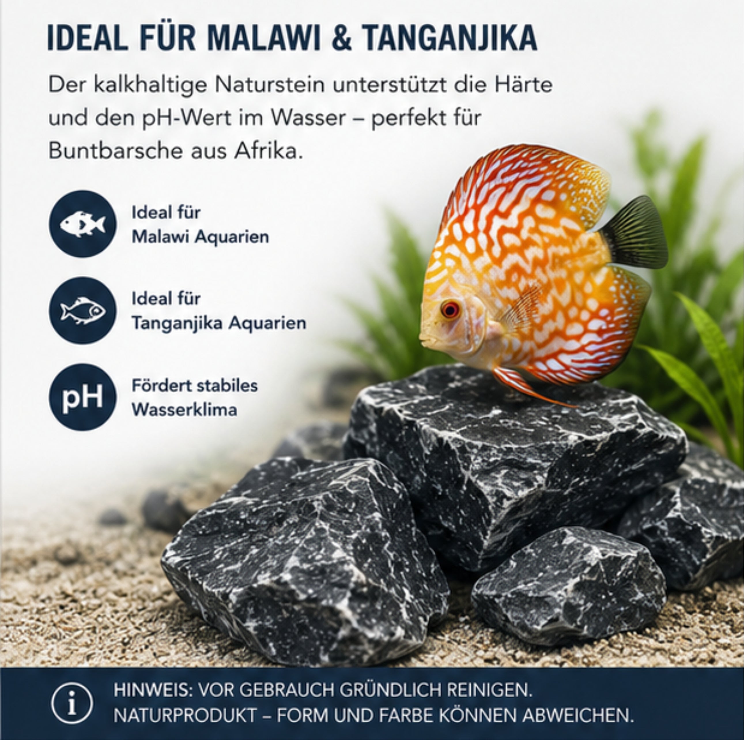 Aquarium Steine Schwarz 6-15cm Malawi Felsen Tanganjika Aquascaping Deko