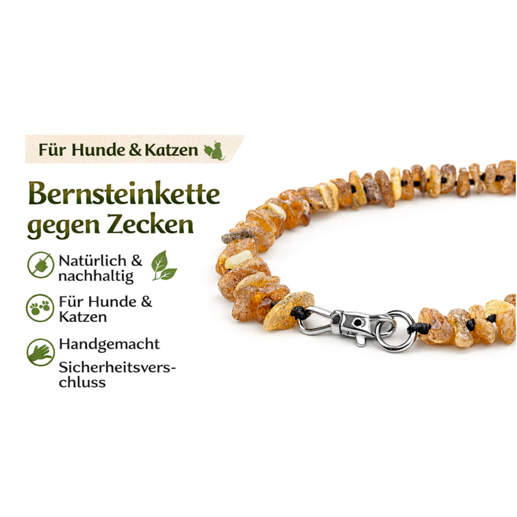 Bernsteinkette Hund Katze Halsband Natur Bernstein Zecken Schutz handgemacht