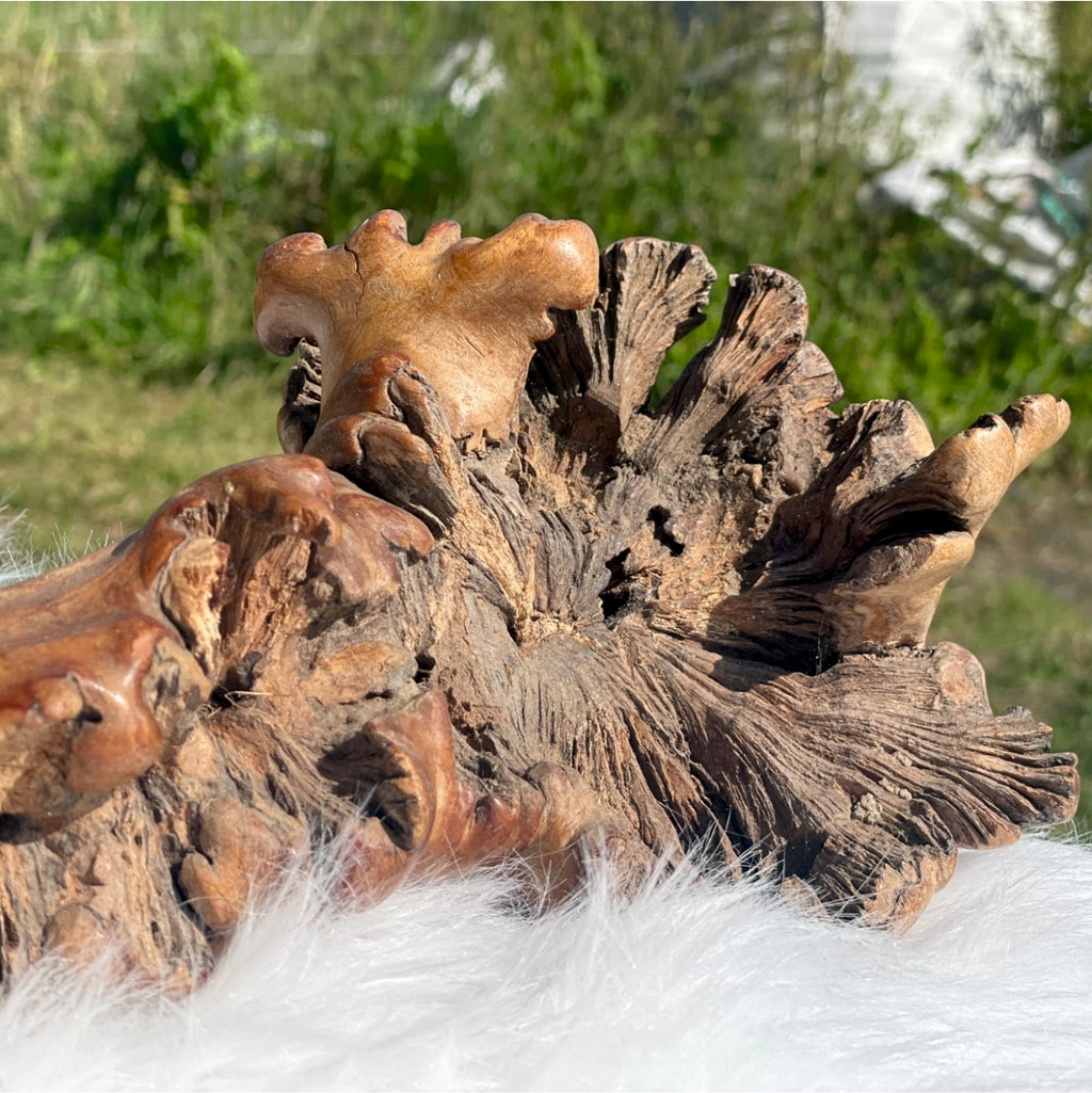 Holzskulptur Hase 70cm Wurzelholz handgeschnitzt Bali Unikat Deko