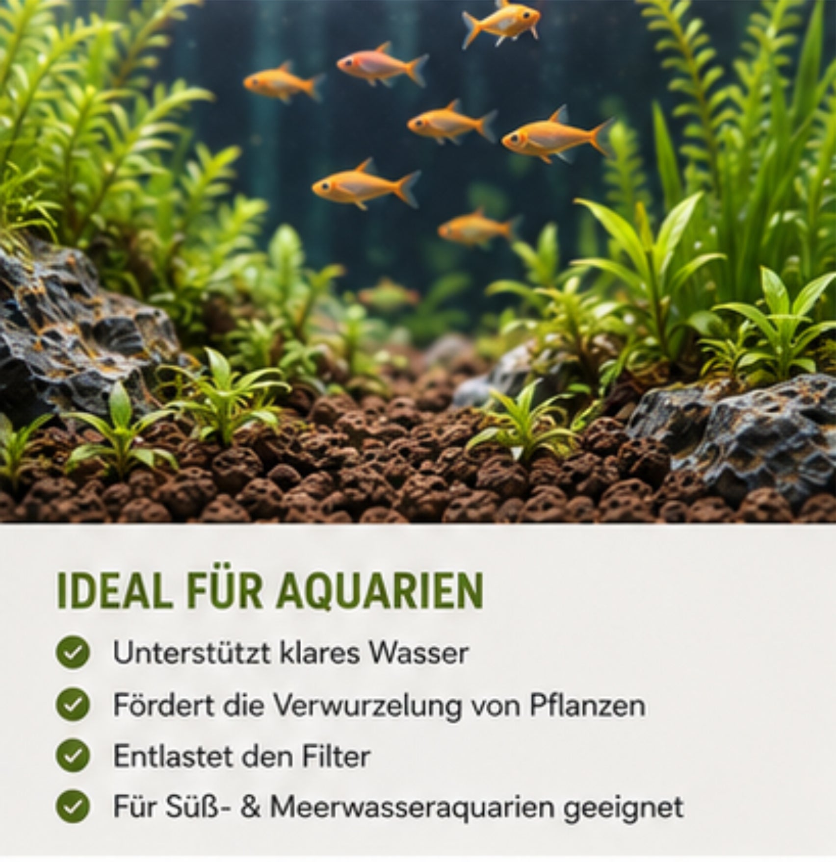 Lava Bodengrund 8-16 mm Aquarium Lavagranulat Vulkanstein Terrarium Natur