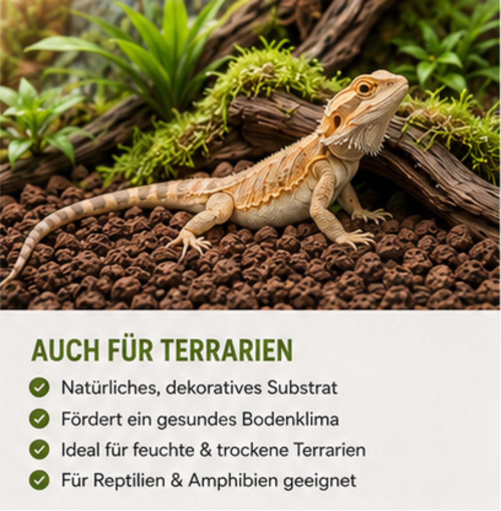Lava Bodengrund 8-16 mm Aquarium Lavagranulat Vulkanstein Terrarium Natur