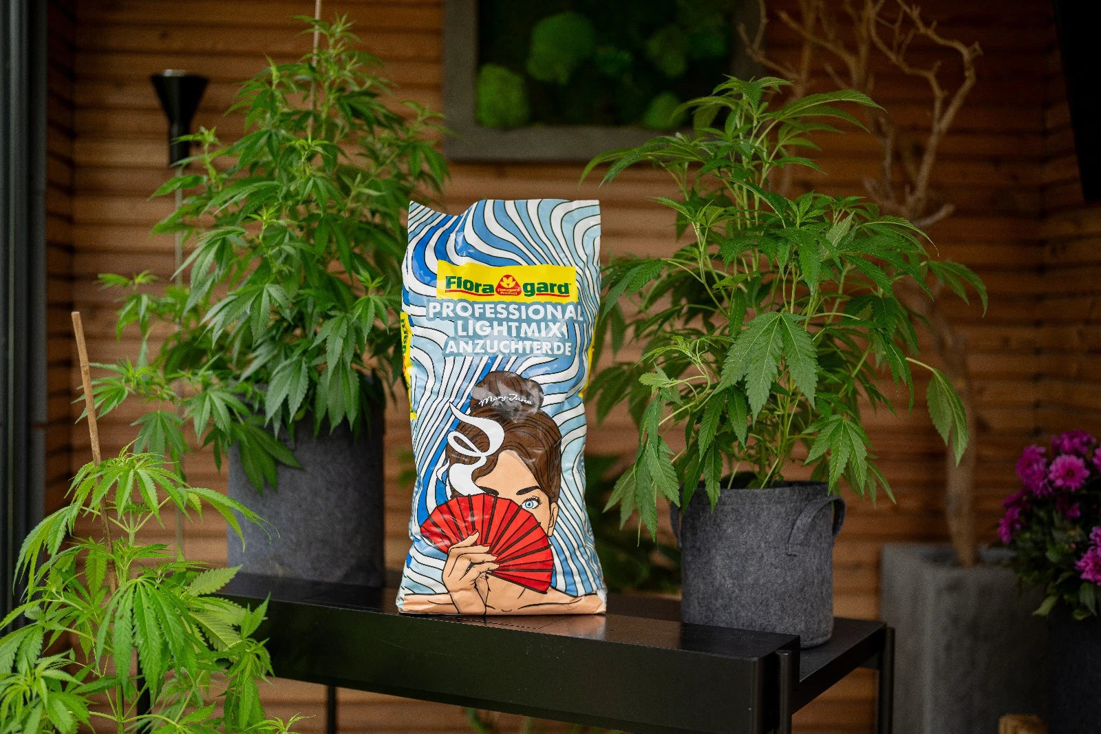 Floragard Light Mix Erde