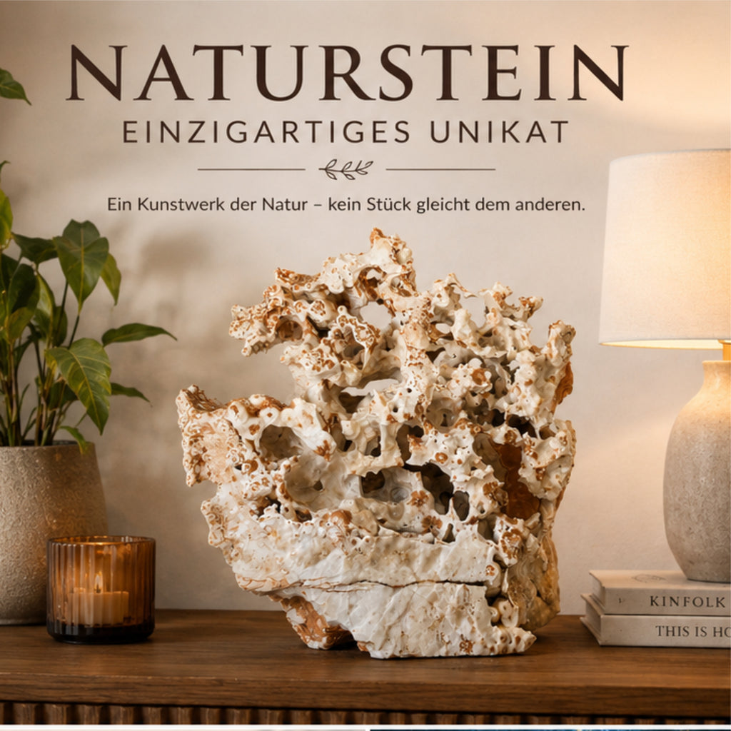 Naturstein Skulptur Unikat 31 cm Korallenstein Lochstein Wohnraum Deko