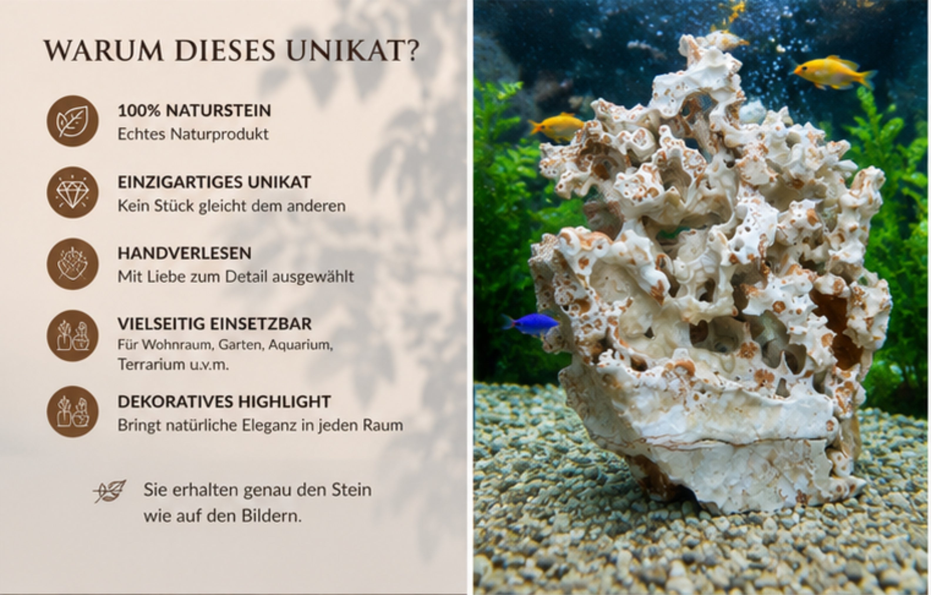 Naturstein Skulptur Unikat 31 cm Korallenstein Lochstein Wohnraum Deko
