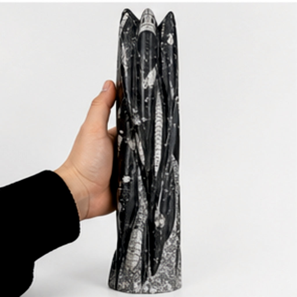 Orthoceras Fossil Skulptur gross Marmor Turm Naturstein Deko 55cm Unikat