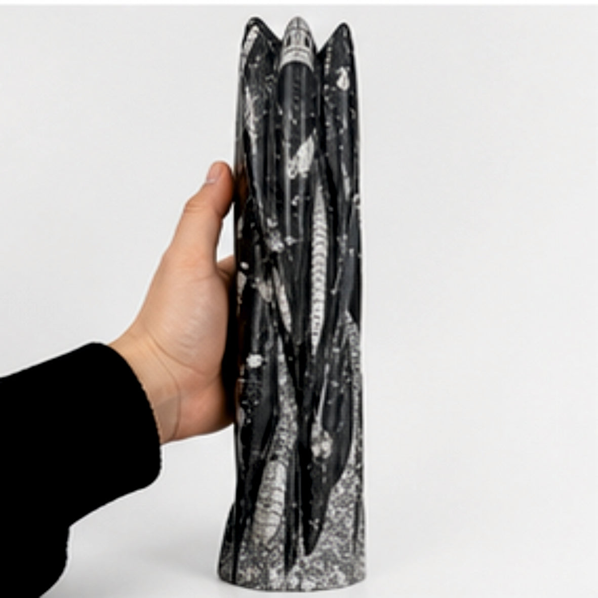 Orthoceras Fossil Skulptur gross Marmor Turm Naturstein Deko 55cm Unikat