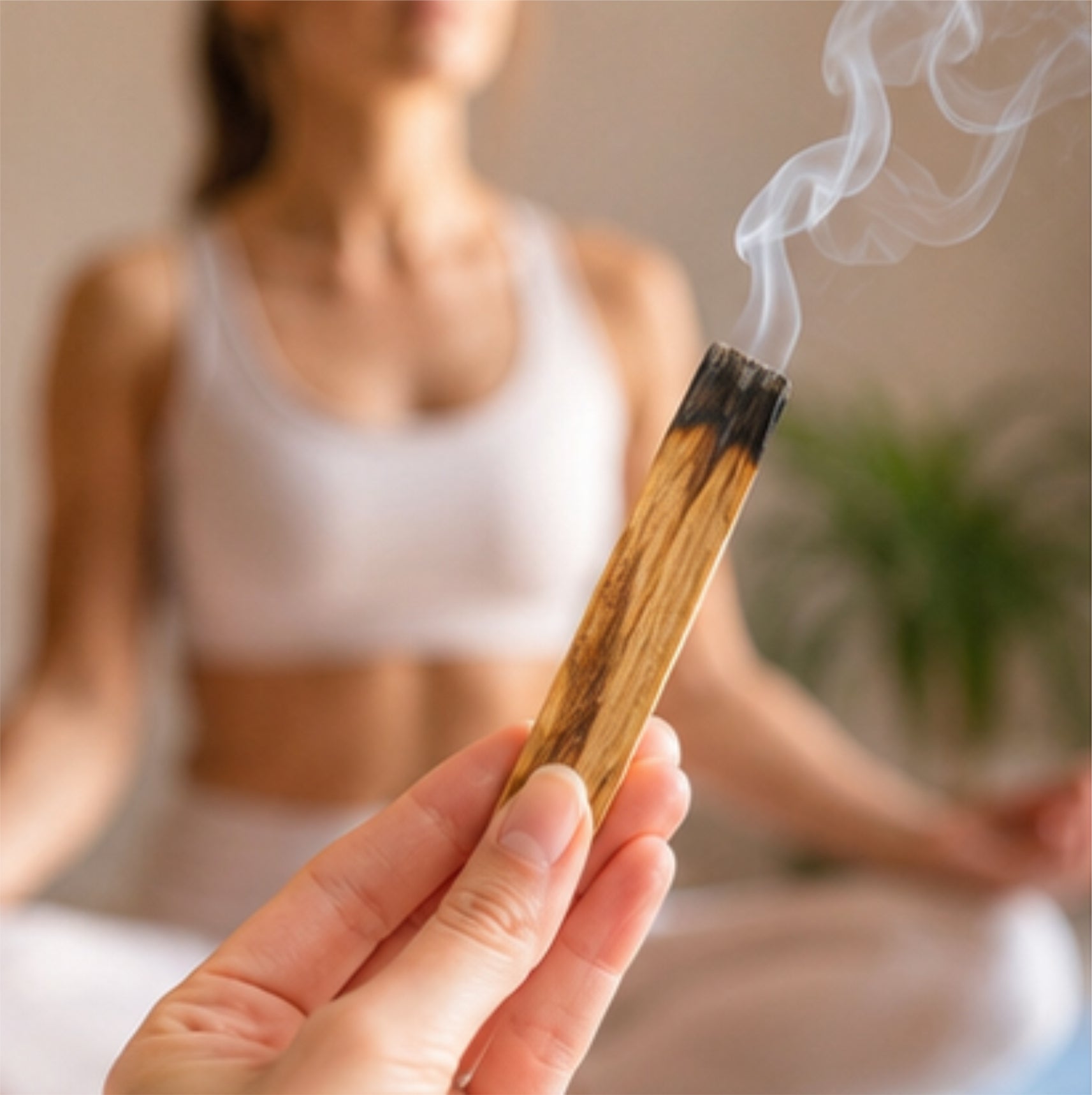 Palo Santo Holz 10 cm Räucherholz Heiliges Holz Meditation Reinigung Ritual