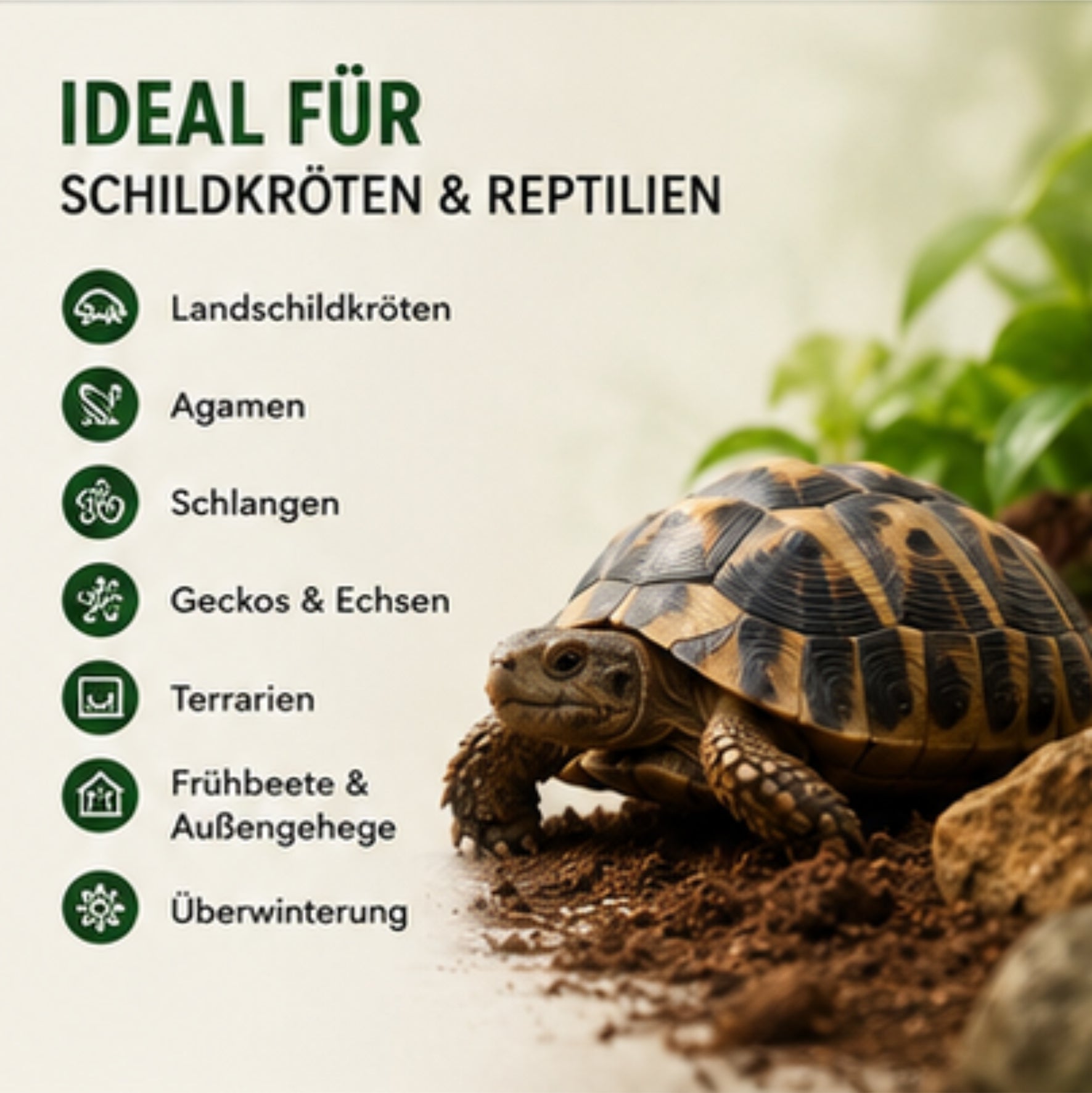 Floragard Schildkrötensubstrat 20L Terrarium Erde Reptilien Einstreu