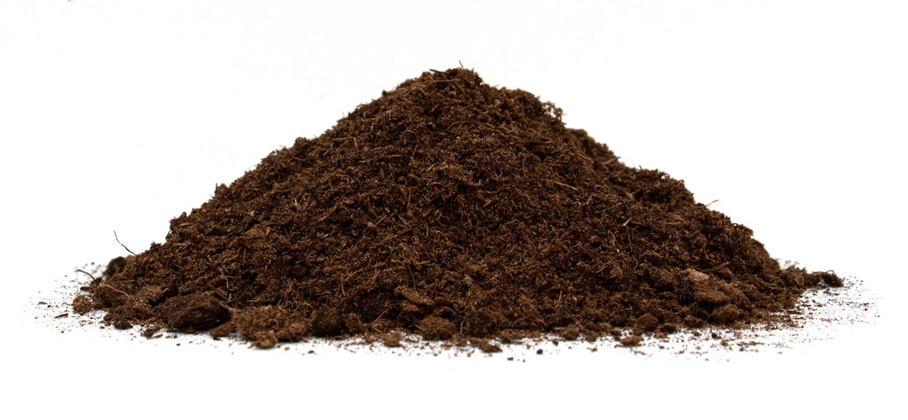 Floragard TKS 2 Kultursubstrat 100L – Profi-Erde für Chili, Gemüse Kübelpflanzen