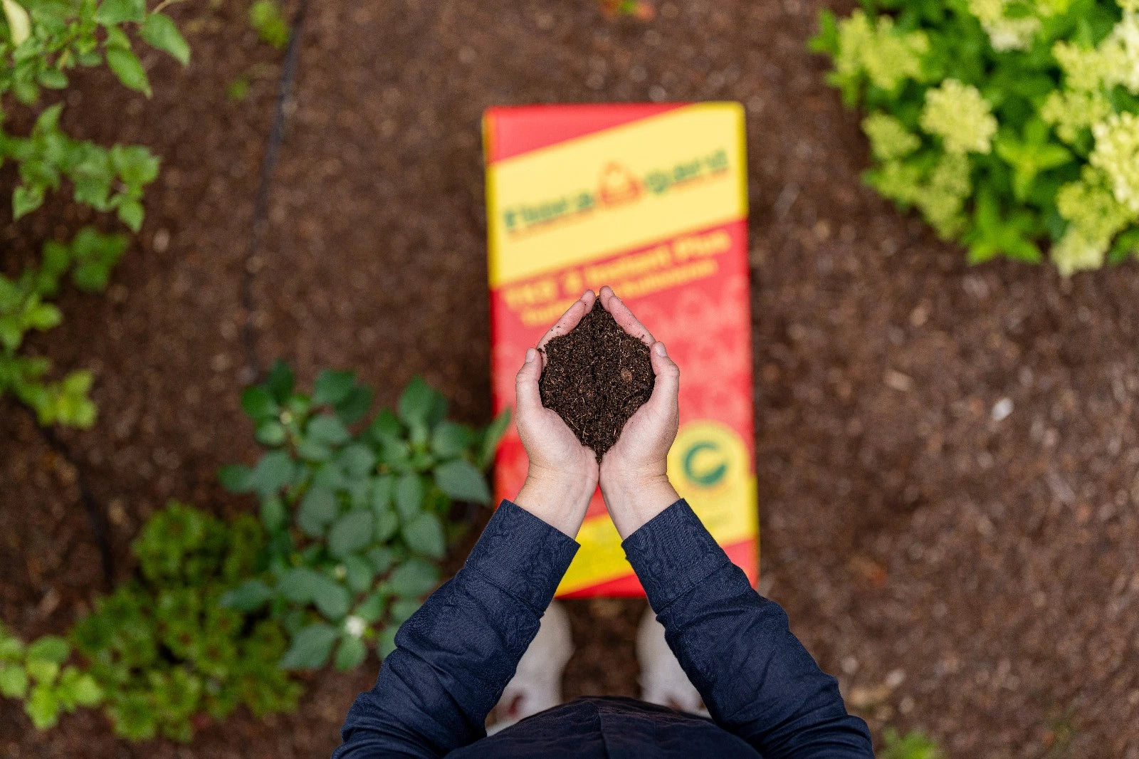 Floragard TKS 2 Kultursubstrat 100L – Profi-Erde für Chili, Gemüse Kübelpflanzen