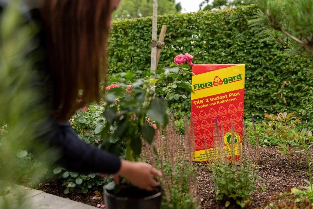 Floragard TKS 2 Kultursubstrat 100L – Profi-Erde für Chili, Gemüse Kübelpflanzen