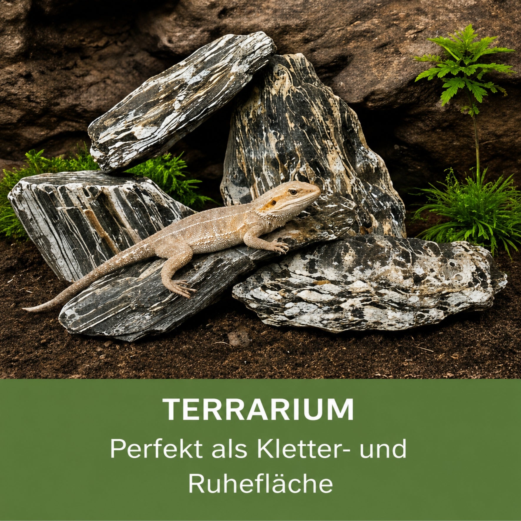 Woodstone Steinholz Bruch 60-250 mm Aquarium Deko Garten Naturstein Gneis